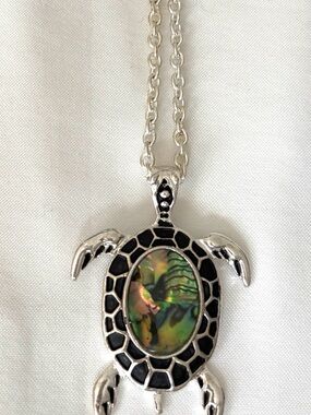 Silver-ToneTurtle Pendant Necklace with Resin Center - Women Jewelry